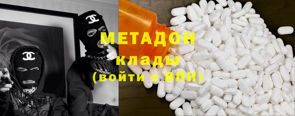 прущие грибы Беломорск