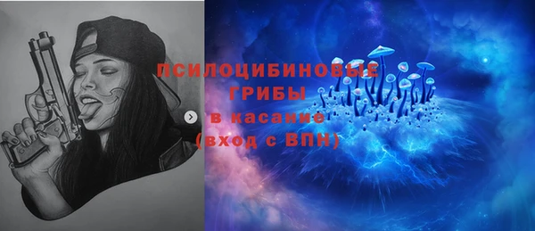 прущие грибы Беломорск