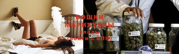 прущие грибы Беломорск