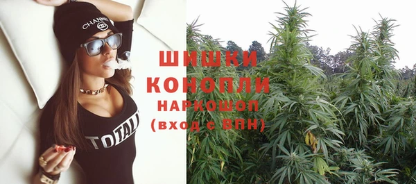 винт Белокуриха