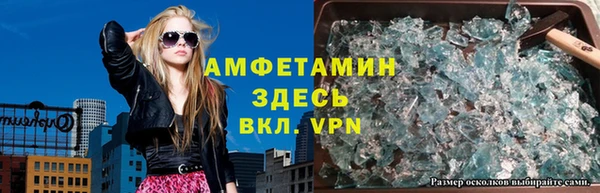 прущие грибы Беломорск