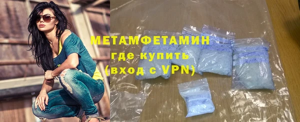 прущие грибы Беломорск