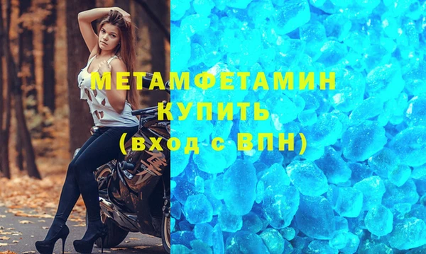 прущие грибы Беломорск