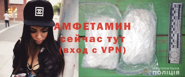 прущие грибы Беломорск